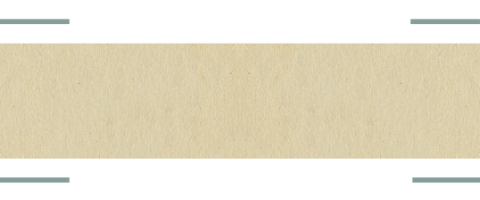 Untitled design (74)
